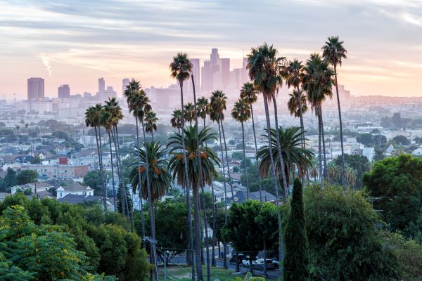 Los Angeles Skyline und Palmen bei Sonnenuntergang.